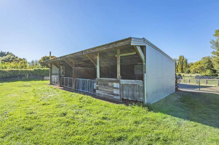 101 Old Bridge Road Springston_17