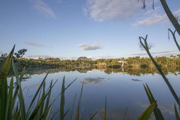 53 Munroe Road Ranui_16