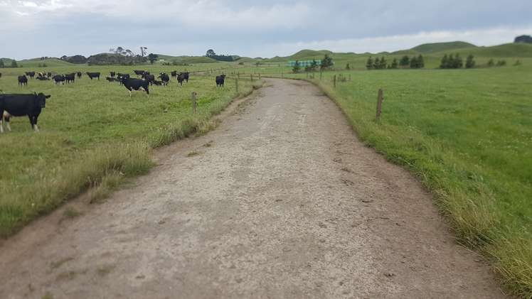 531 Ngariki Road Rahotu_11