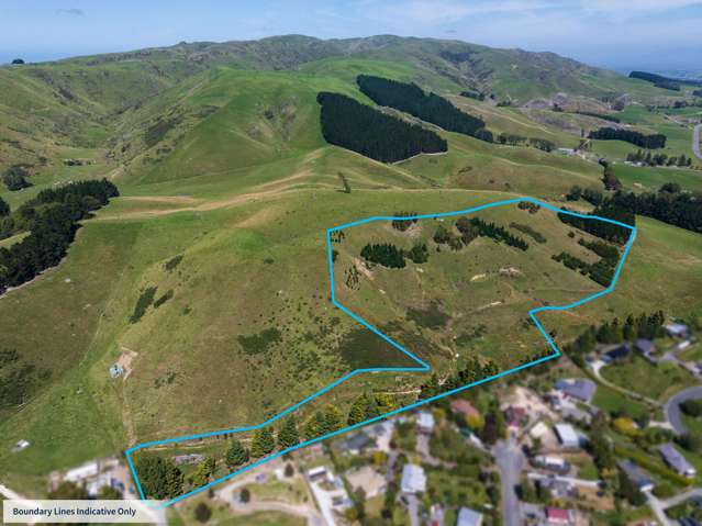 Lifestyle Opportunity