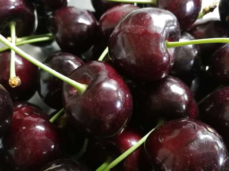 109 Ripponvale Road Cromwell_31