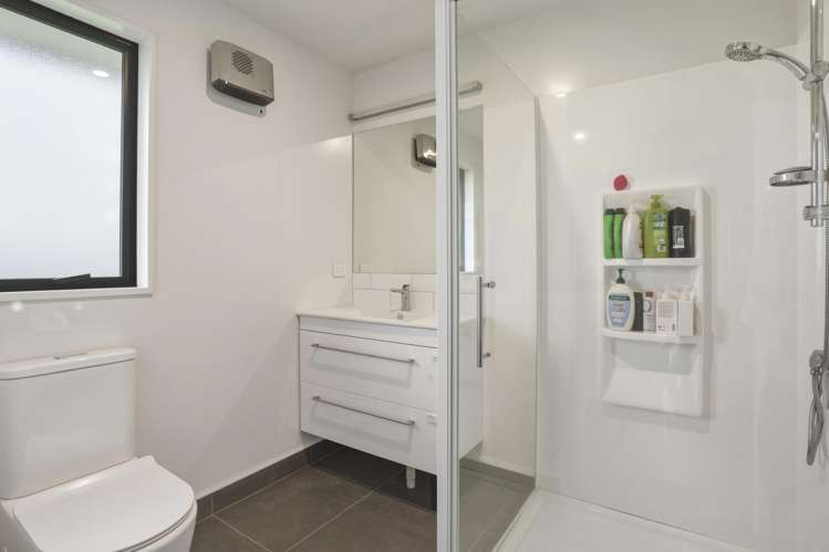 337 Coe Road Balclutha_22