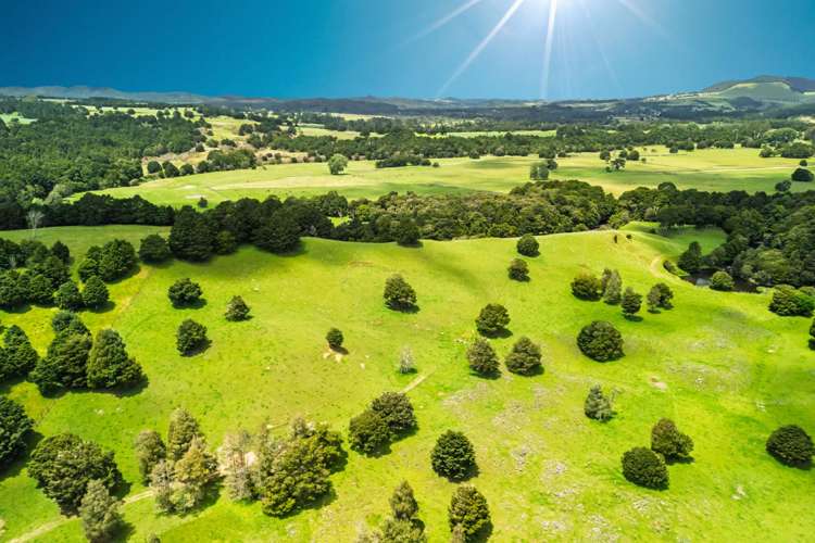 509B Mataraua Road Kaikohe_40