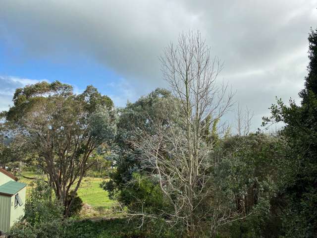 70 Hokianga Road Dargaville_1