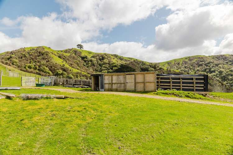 514 Totara Road Kumeroa_15