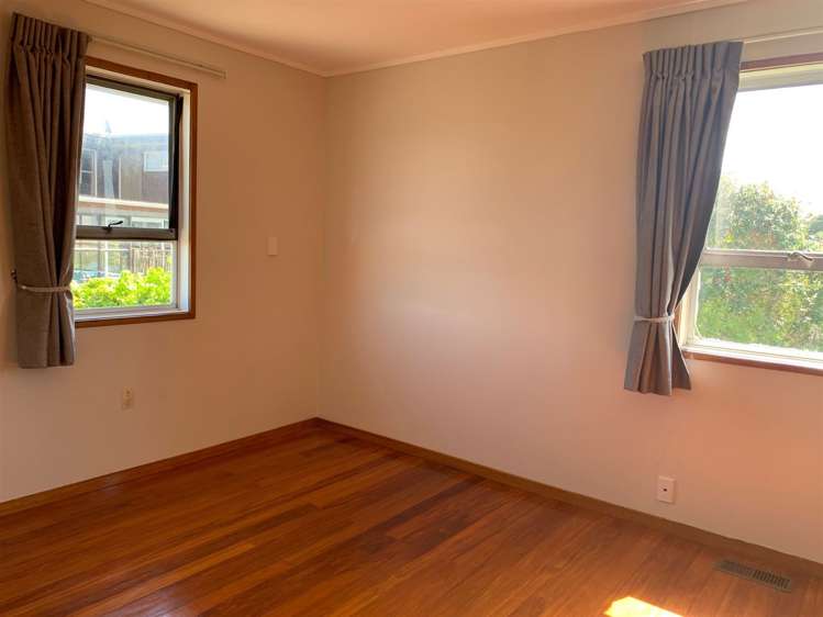 74 Carlton Street Hillsborough_10