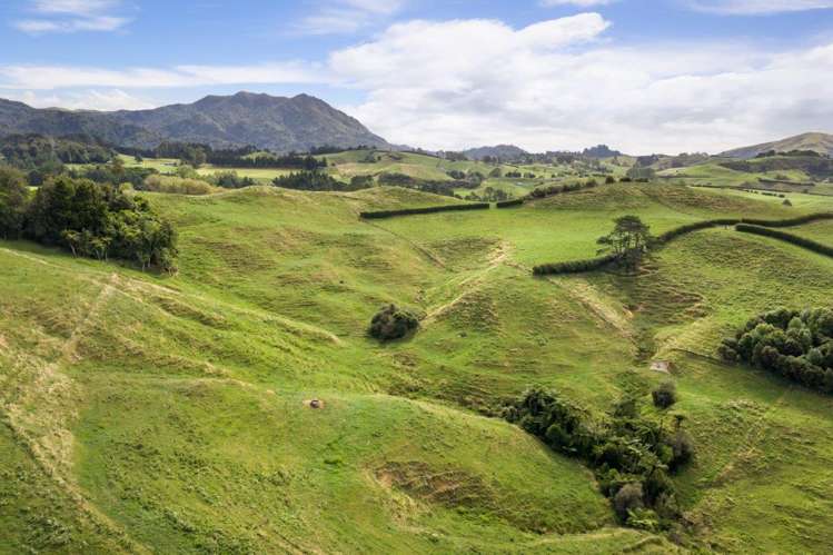 58 Deam Road Waihi_36