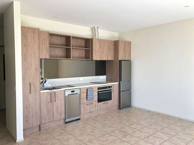 118c Ellendale Street Marybank_1