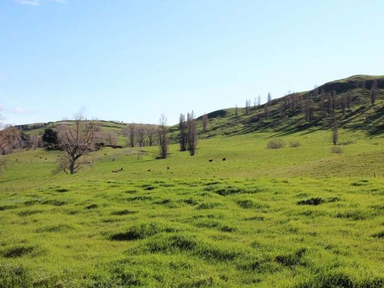 434 Hatuma Road Waipukurau and Surrounds_11