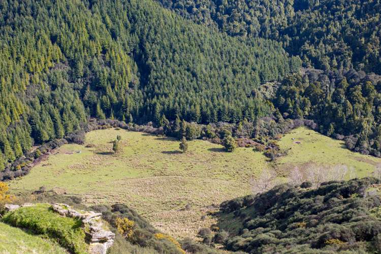 1304 Tokomaru East Road Brunswick_10