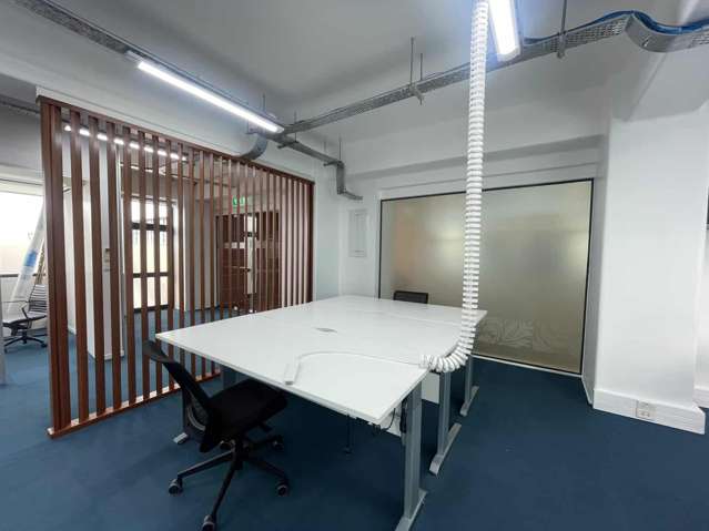 7 Windsor Street Parnell_3