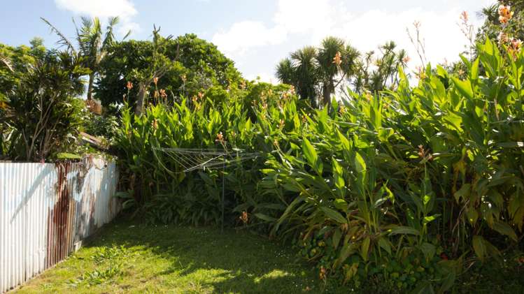 9 Bond Street Grey Lynn_14