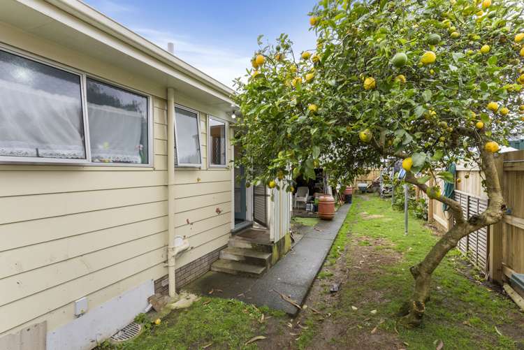 384 Roscommon Road Clendon Park_10