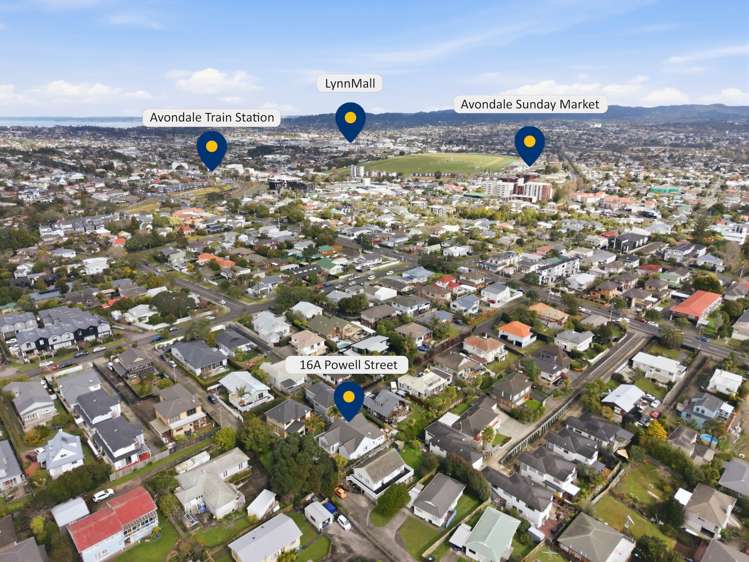 16A Powell Street Avondale_24