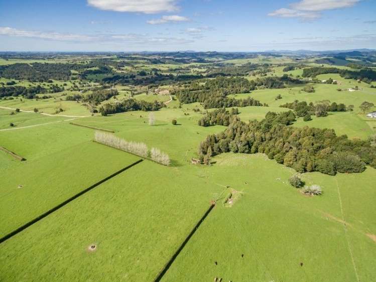 403 Te Ahu Ahu Road Waimate North_39