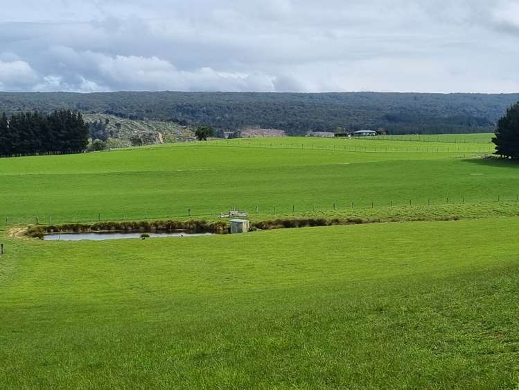 1384 Tahakopa Valley Road Catlins Surrounds_9