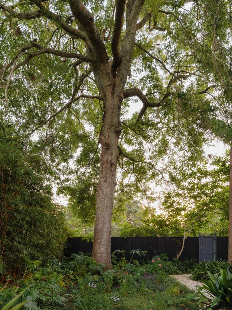 13 Dexter Avenue Mount Eden_28