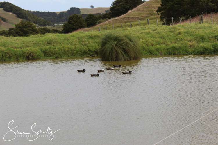 215c Heatley Road Whakapirau_18