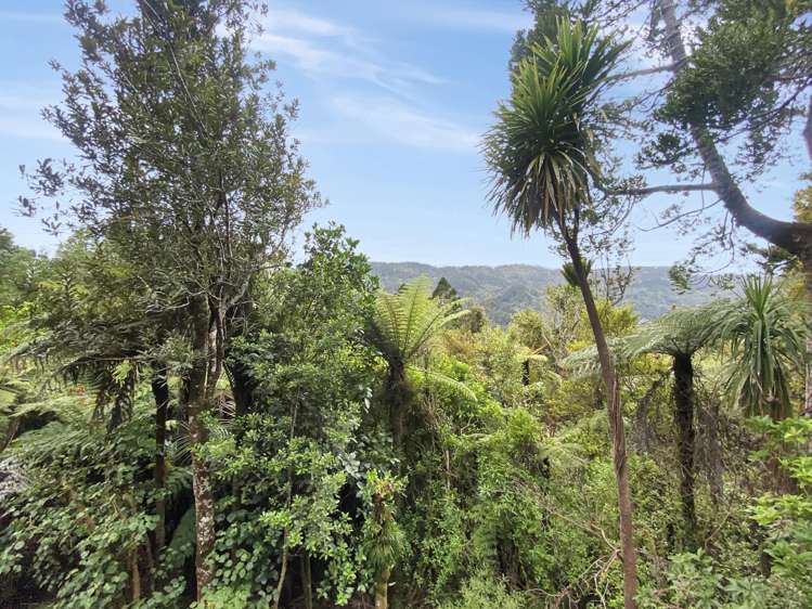 19A Te Aute Ridge Road Bethells Beach_16