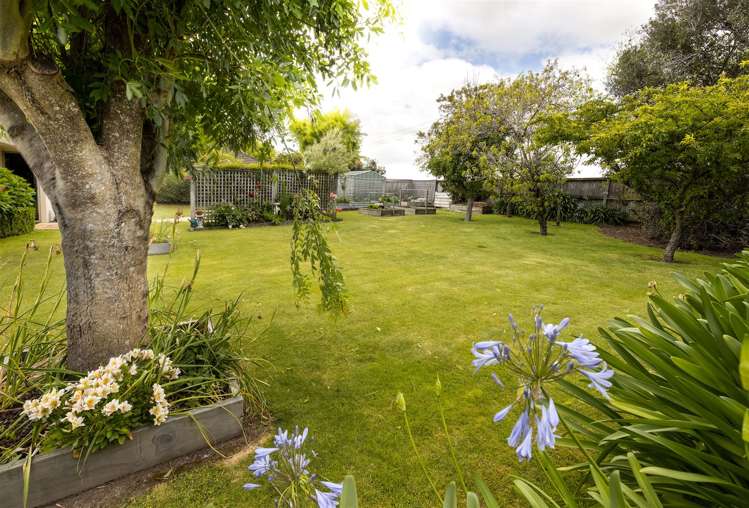 42c Brydon Street Renwick_30