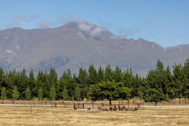 71 Seven Lane Wanaka_18