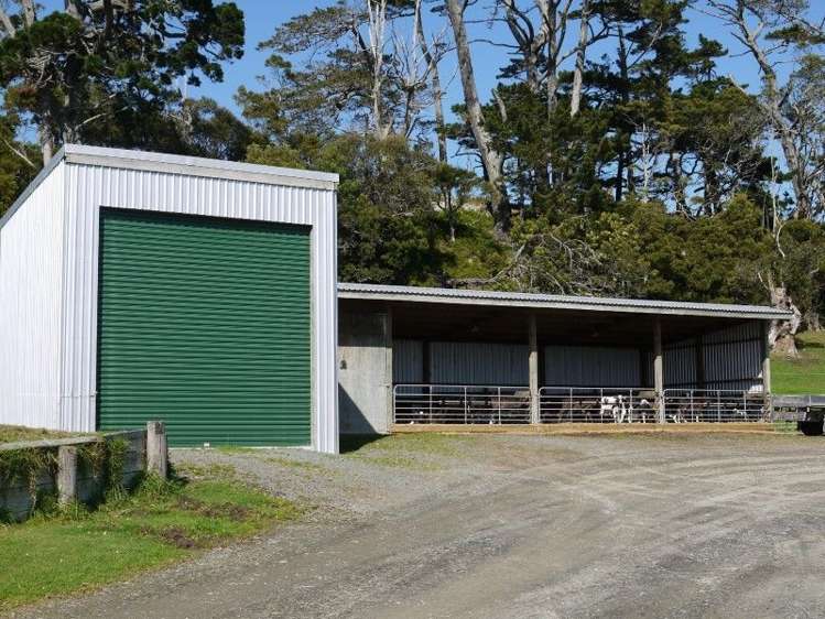 762 Pouto Road Te Kopuru_18