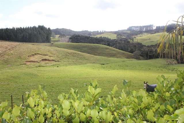 100 Upper Orewa Road Wainui_1