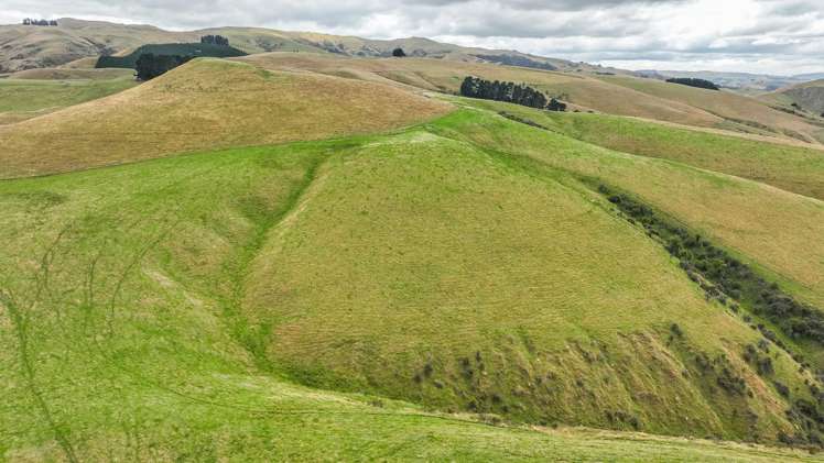 2 Cotswold Road Omihi_1