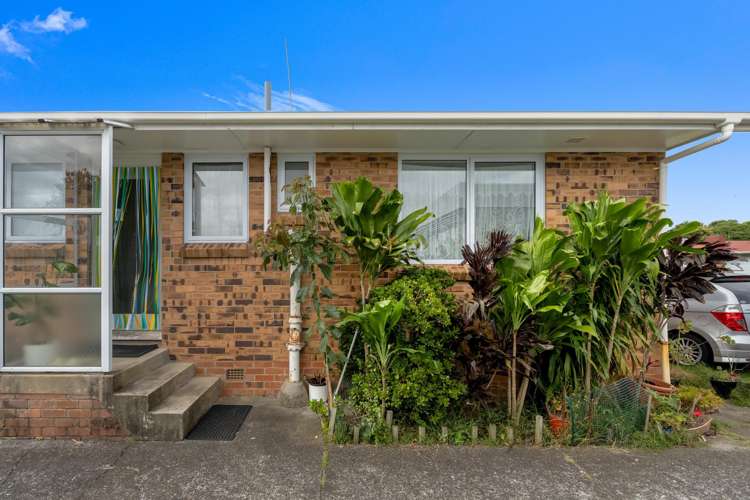 302 Rosebank Road Avondale_11