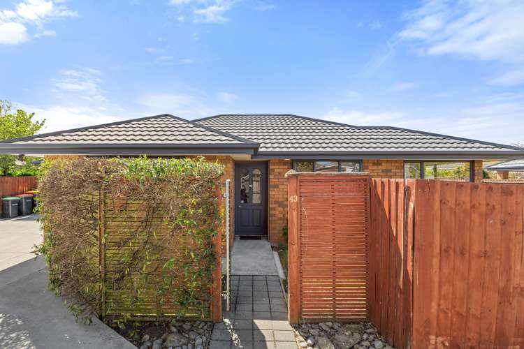 43 Richards Avenue Papanui_20