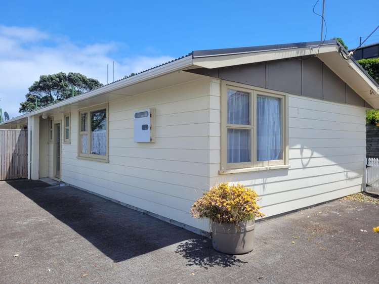17A/C Scott Street Moturoa_1