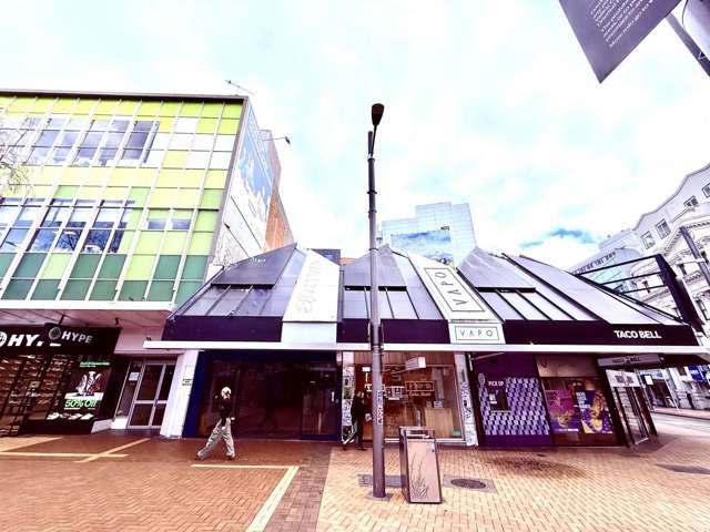 Ground 1.1/94 Manners Street Te Aro_1