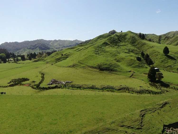 167 Whenuakura Road Waimiha-Ongarue_17