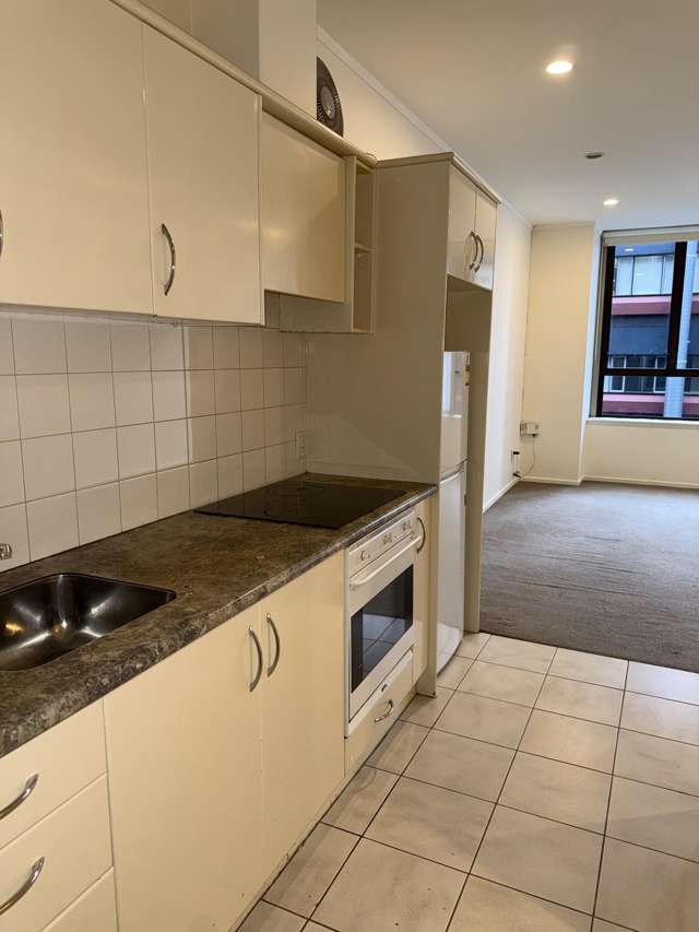 8a/105 Albert Street Auckland Central_3