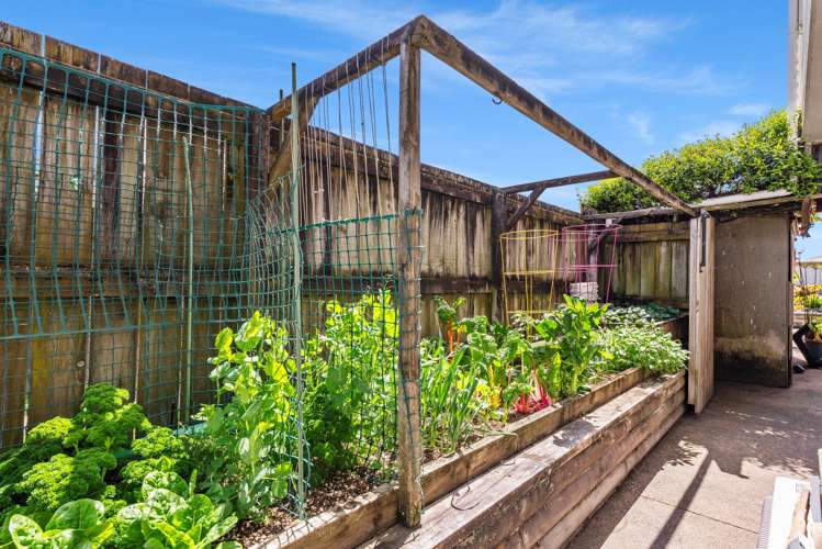 15 Hawea Street Mount Maunganui_21