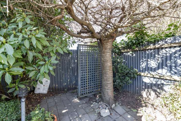 2/28 Canberra Place Redwood_14