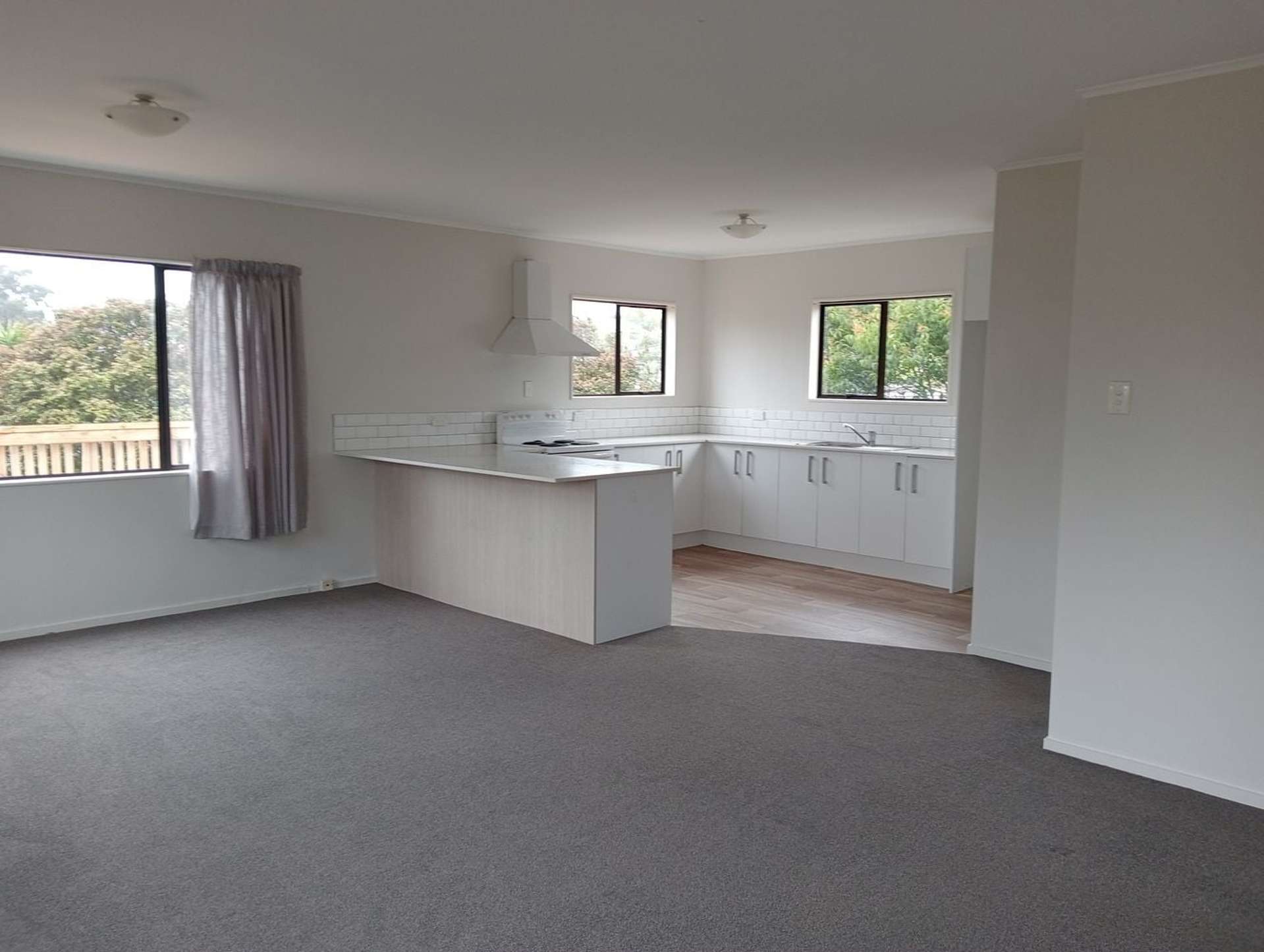 2/10 Evans Road Glen Eden_0