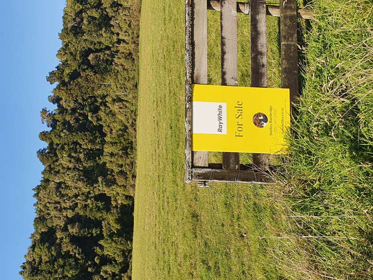 Blue Spur Road Hokitika_12