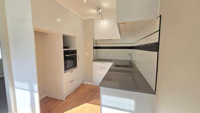  8/31 Tennyson Street Petone_1