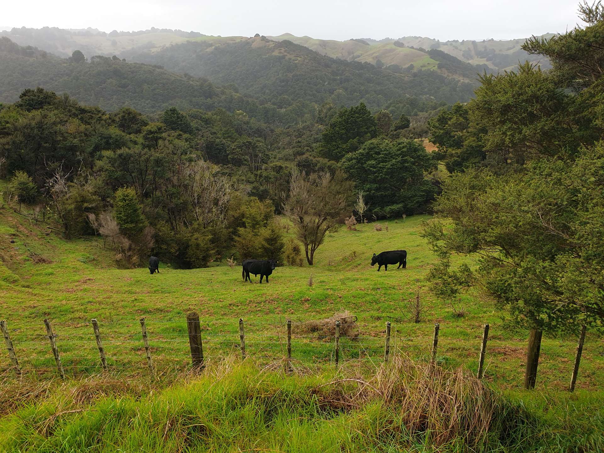 Lot 1/0n Bull Road Paparoa_0