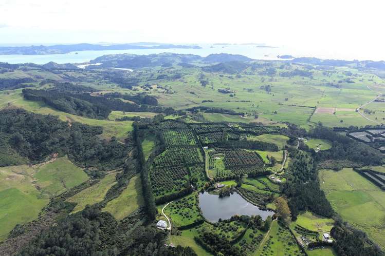 121C Purangi Road Whenuakite_11