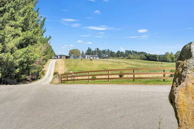 Equestrian Living on 4 Hectares