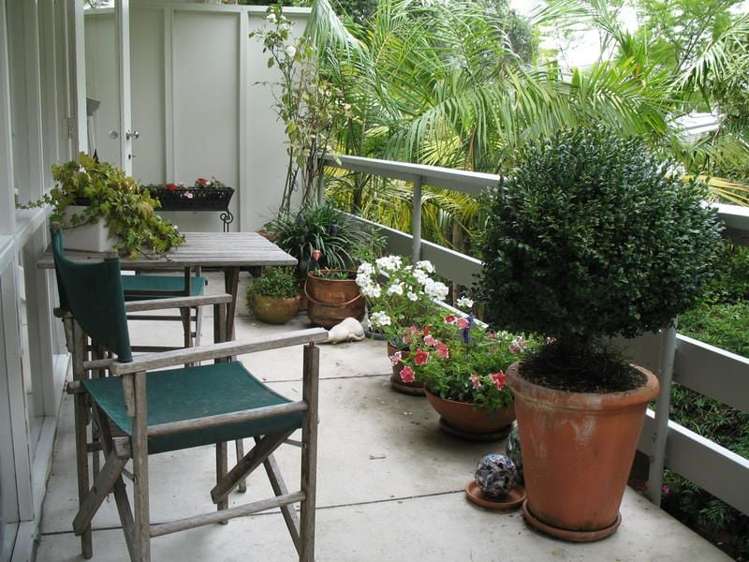 9/4 William Avenue Greenlane_12