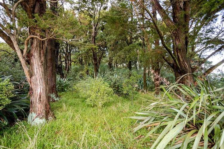 341 Maharahara Road Dannevirke_18