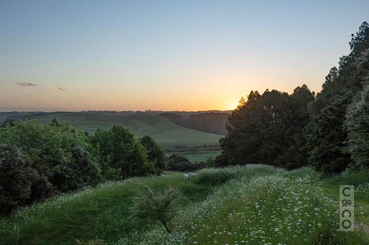 75 Taylor Road Waimauku_29