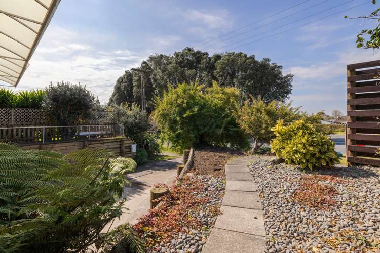 33b Boucher Avenue Te Puke_14