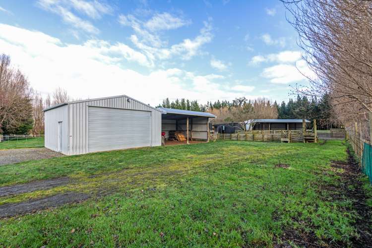 334 Mount Biggs Road Halcombe_16