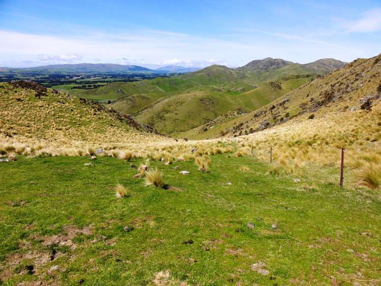 231 Powers Road Hawarden_15