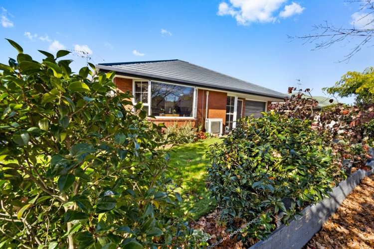 154 William Street Netherby_25
