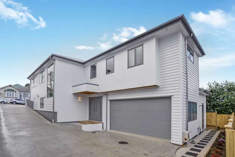 17 Dexter Avenue Mount Eden_47